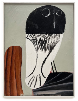  Owl on black curtain